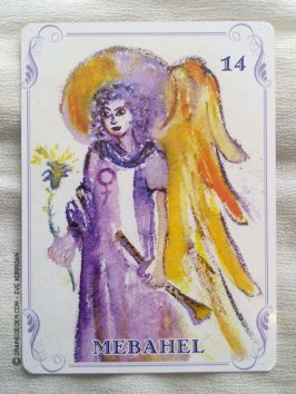 Les cartes des Anges de Haziel - Graine d'Eden Développement personnel, spiritualité, tarots et oracles divinatoires, Bibliothèques des Oracles, avis, présentation, review