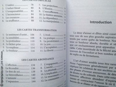 Au Jardin d'Amour de Monique Grande - Graine d'Eden Développement personnel, spiritualité, tarots et oracles divinatoires, Bibliothèques des Oracles, avis, présentation, review