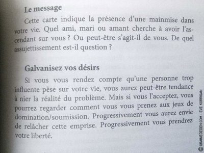 Au Jardin d'Amour de Monique Grande - Graine d'Eden Développement personnel, spiritualité, tarots et oracles divinatoires, Bibliothèques des Oracles, avis, présentation, review