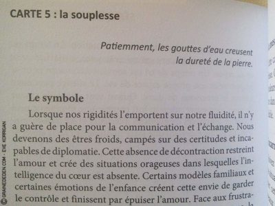 Au Jardin d'Amour de Monique Grande - Graine d'Eden Développement personnel, spiritualité, tarots et oracles divinatoires, Bibliothèques des Oracles, avis, présentation, review