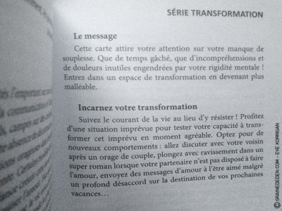 Au Jardin d'Amour de Monique Grande - Graine d'Eden Développement personnel, spiritualité, tarots et oracles divinatoires, Bibliothèques des Oracles, avis, présentation, review