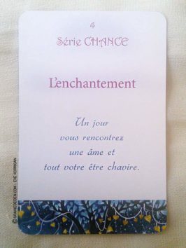 Au Jardin d'Amour de Monique Grande - Graine d'Eden Développement personnel, spiritualité, tarots et oracles divinatoires, Bibliothèques des Oracles, avis, présentation, review