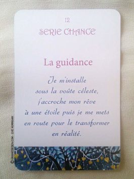 Au Jardin d'Amour de Monique Grande - Graine d'Eden Développement personnel, spiritualité, tarots et oracles divinatoires, Bibliothèques des Oracles, avis, présentation, review