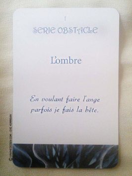 Au Jardin d'Amour de Monique Grande - Graine d'Eden Développement personnel, spiritualité, tarots et oracles divinatoires, Bibliothèques des Oracles, avis, présentation, review