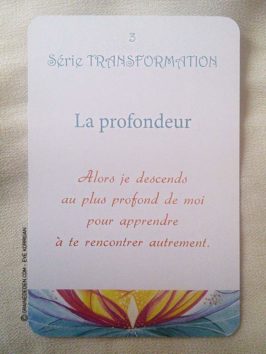 Au Jardin d'Amour de Monique Grande - Graine d'Eden Développement personnel, spiritualité, tarots et oracles divinatoires, Bibliothèques des Oracles, avis, présentation, review