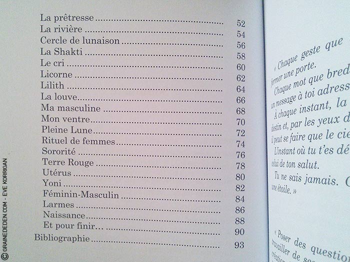 Choeur de Femmes de Yaël Catherinet et Céline Cailleux - Graine d'Eden Développement personnel, spiritualité, tarots et oracles divinatoires, Bibliothèques des Oracles, avis, présentation, review