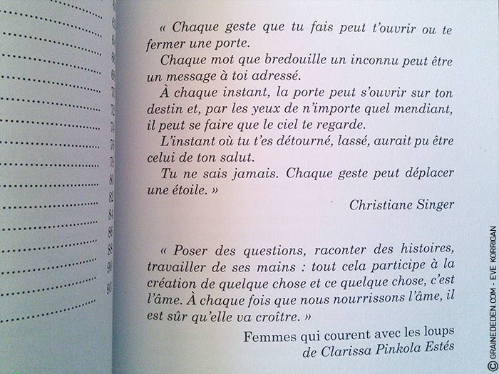 Choeur de Femmes de Yaël Catherinet et Céline Cailleux - Graine d'Eden Développement personnel, spiritualité, tarots et oracles divinatoires, Bibliothèques des Oracles, avis, présentation, review