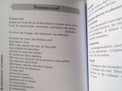 Choeur de Femmes de Yaël Catherinet et Céline Cailleux - Graine d'Eden Développement personnel, spiritualité, tarots et oracles divinatoires, Bibliothèques des Oracles, avis, présentation, review