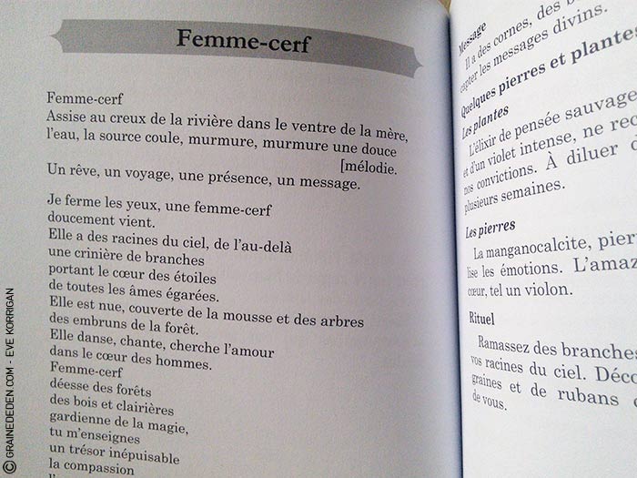 Choeur de Femmes de Yaël Catherinet et Céline Cailleux - Graine d'Eden Développement personnel, spiritualité, tarots et oracles divinatoires, Bibliothèques des Oracles, avis, présentation, review