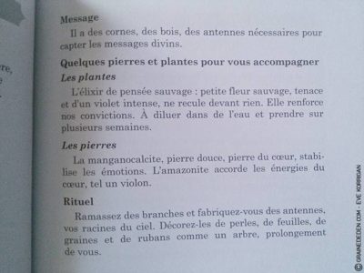 Choeur de Femmes de Yaël Catherinet et Céline Cailleux - Graine d'Eden Développement personnel, spiritualité, tarots et oracles divinatoires, Bibliothèques des Oracles, avis, présentation, review