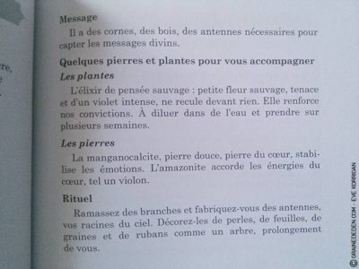 Choeur de Femmes de Yaël Catherinet et Céline Cailleux - Graine d'Eden Développement personnel, spiritualité, tarots et oracles divinatoires, Bibliothèques des Oracles, avis, présentation, review