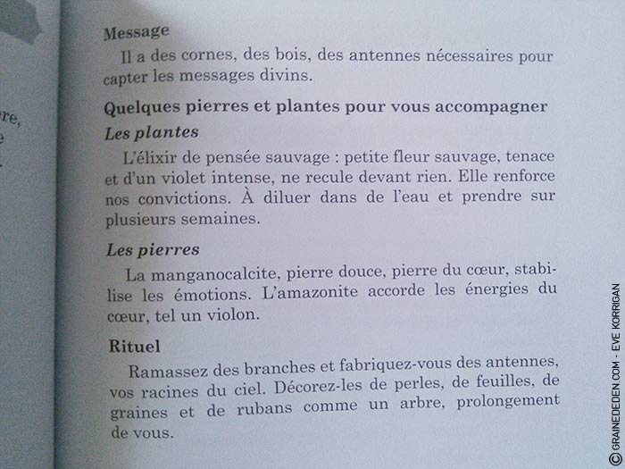 Choeur de Femmes de Yaël Catherinet et Céline Cailleux - Graine d'Eden Développement personnel, spiritualité, tarots et oracles divinatoires, Bibliothèques des Oracles, avis, présentation, review