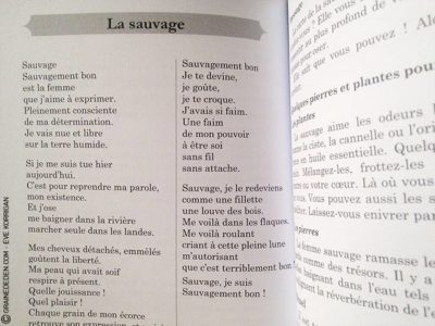 Choeur de Femmes de Yaël Catherinet et Céline Cailleux - Graine d'Eden Développement personnel, spiritualité, tarots et oracles divinatoires, Bibliothèques des Oracles, avis, présentation, review