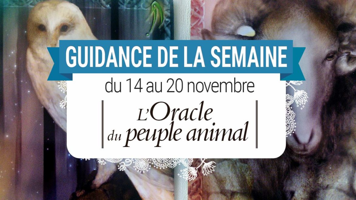 14 au 20 novembre - Votre guidance de la semaine avec l'Oracle du peuple animal de Arnaud Riou - Graine d'Eden Tarots et Oracles divinatoires - avis, review, présentations