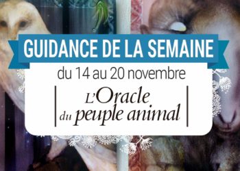 14 au 20 novembre - Votre guidance de la semaine avec l'Oracle du peuple animal de Arnaud Riou - Graine d'Eden Tarots et Oracles divinatoires - avis, review, présentations