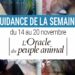 14 au 20 novembre - Votre guidance de la semaine avec l'Oracle du peuple animal de Arnaud Riou - Graine d'Eden Tarots et Oracles divinatoires - avis, review, présentations