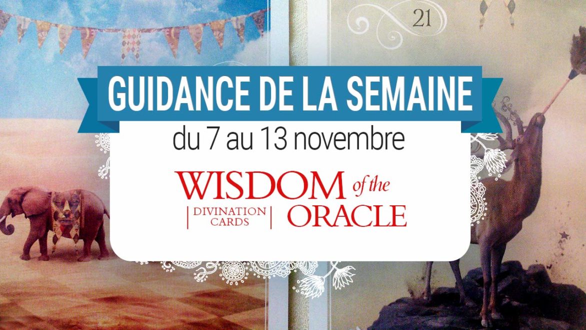 7 au 13 novembre - Votre guidance de la semaine - Votre guidance de la semaine avec Wisdom of the Oracle cards divination de Colette Baron-Reid - Graine d'Eden Tarots et Oracles divinatoires - avis, review, présentations