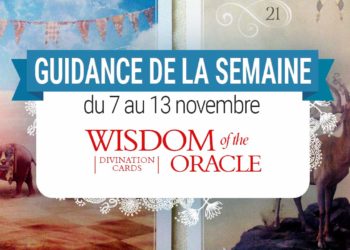 7 au 13 novembre - Votre guidance de la semaine - Votre guidance de la semaine avec Wisdom of the Oracle cards divination de Colette Baron-Reid - Graine d'Eden Tarots et Oracles divinatoires - avis, review, présentations