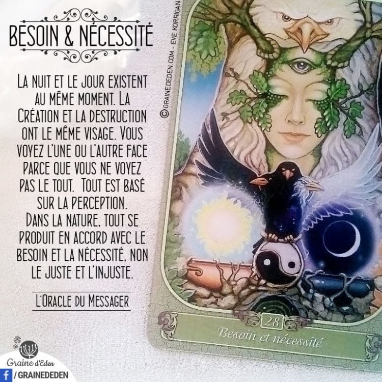 L'Oracle du Messager - Carte Besoin et nécessité - Graine d'Eden Développement personnel, spiritualité, tarots et oracles divinatoires, Bibliothèques des Oracles, avis, présentation, review