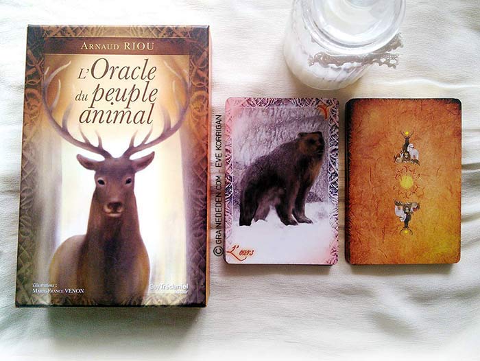 L'Oracle du Peuple Animal de Arnaud Riou - Graine d'Eden Développement personnel, spiritualité, tarots et oracles divinatoires, Bibliothèques des Oracles, avis, présentation, review