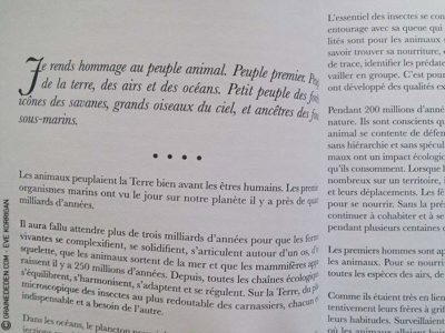 L'Oracle du Peuple Animal de Arnaud Riou - Graine d'Eden Développement personnel, spiritualité, tarots et oracles divinatoires, Bibliothèques des Oracles, avis, présentation, review