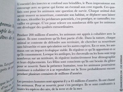 L'Oracle du Peuple Animal de Arnaud Riou - Graine d'Eden Développement personnel, spiritualité, tarots et oracles divinatoires, Bibliothèques des Oracles, avis, présentation, review