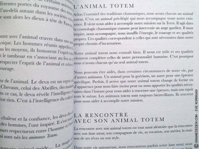 L'Oracle du Peuple Animal de Arnaud Riou - Graine d'Eden Développement personnel, spiritualité, tarots et oracles divinatoires, Bibliothèques des Oracles, avis, présentation, review