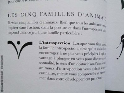 L'Oracle du Peuple Animal de Arnaud Riou - Graine d'Eden Développement personnel, spiritualité, tarots et oracles divinatoires, Bibliothèques des Oracles, avis, présentation, review