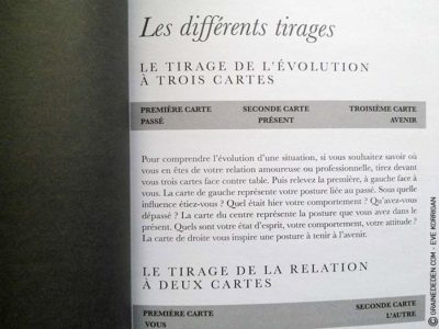 L'Oracle du Peuple Animal de Arnaud Riou - Graine d'Eden Développement personnel, spiritualité, tarots et oracles divinatoires, Bibliothèques des Oracles, avis, présentation, review