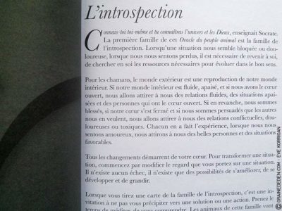 L'Oracle du Peuple Animal de Arnaud Riou - Graine d'Eden Développement personnel, spiritualité, tarots et oracles divinatoires, Bibliothèques des Oracles, avis, présentation, review