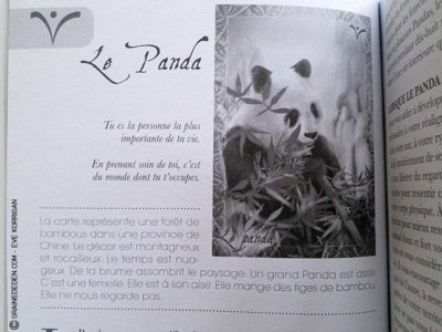 L'Oracle du Peuple Animal de Arnaud Riou - Graine d'Eden Développement personnel, spiritualité, tarots et oracles divinatoires, Bibliothèques des Oracles, avis, présentation, review