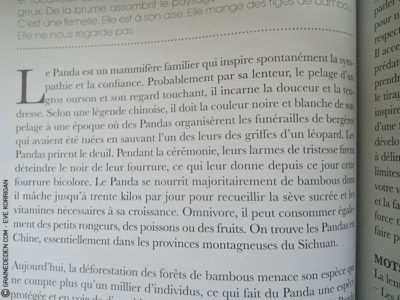 L'Oracle du Peuple Animal de Arnaud Riou - Graine d'Eden Développement personnel, spiritualité, tarots et oracles divinatoires, Bibliothèques des Oracles, avis, présentation, review