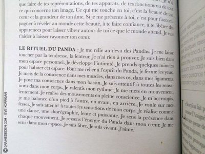 L'Oracle du Peuple Animal de Arnaud Riou - Graine d'Eden Développement personnel, spiritualité, tarots et oracles divinatoires, Bibliothèques des Oracles, avis, présentation, review