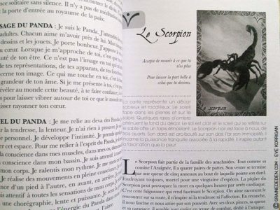 L'Oracle du Peuple Animal de Arnaud Riou - Graine d'Eden Développement personnel, spiritualité, tarots et oracles divinatoires, Bibliothèques des Oracles, avis, présentation, review