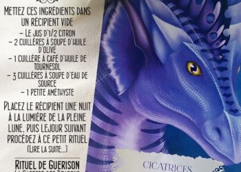 Les Cartes Oracle La Sagesse des Dragons - Carte Cicatrices - Graine d'Eden Développement personnel, spiritualité, tarots et oracles divinatoires, Bibliothèques des Oracles, avis, présentation, review