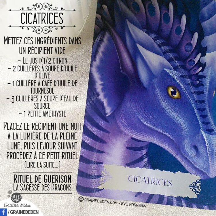 Les Cartes Oracle La Sagesse des Dragons - Carte Cicatrices - Graine d'Eden Développement personnel, spiritualité, tarots et oracles divinatoires, Bibliothèques des Oracles, avis, présentation, review