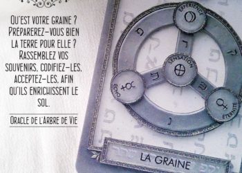 L'Oracle de l'Arbre de Vie - Carte La Graine - Graine d'Eden Développement personnel, spiritualité, tarots et oracles divinatoires, Bibliothèques des Oracles, avis, présentation, review