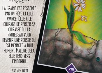 Tarot Osho Zen - Carte Le Courage selon Osho - Graine d'Eden Développement personnel, spiritualité, tarots et oracles divinatoires, Bibliothèques des Oracles, avis, présentation, review