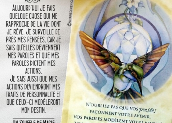 Les Cartes Un souffle de Magie - Carte Création - Je suis créateur de ma vie - Graine d'Eden Développement personnel, spiritualité, tarots et oracles divinatoires, Bibliothèques des Oracles, avis, présentation, review