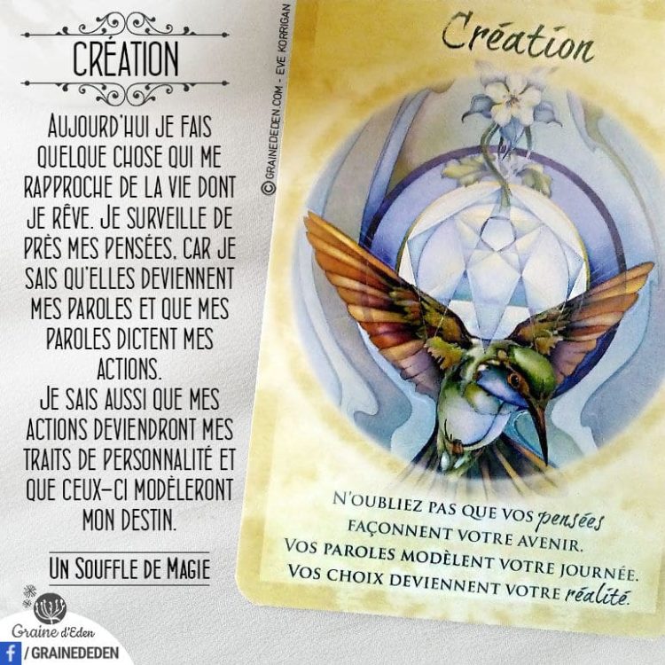 Les Cartes Un souffle de Magie - Carte Création - Je suis créateur de ma vie - Graine d'Eden Développement personnel, spiritualité, tarots et oracles divinatoires, Bibliothèques des Oracles, avis, présentation, review