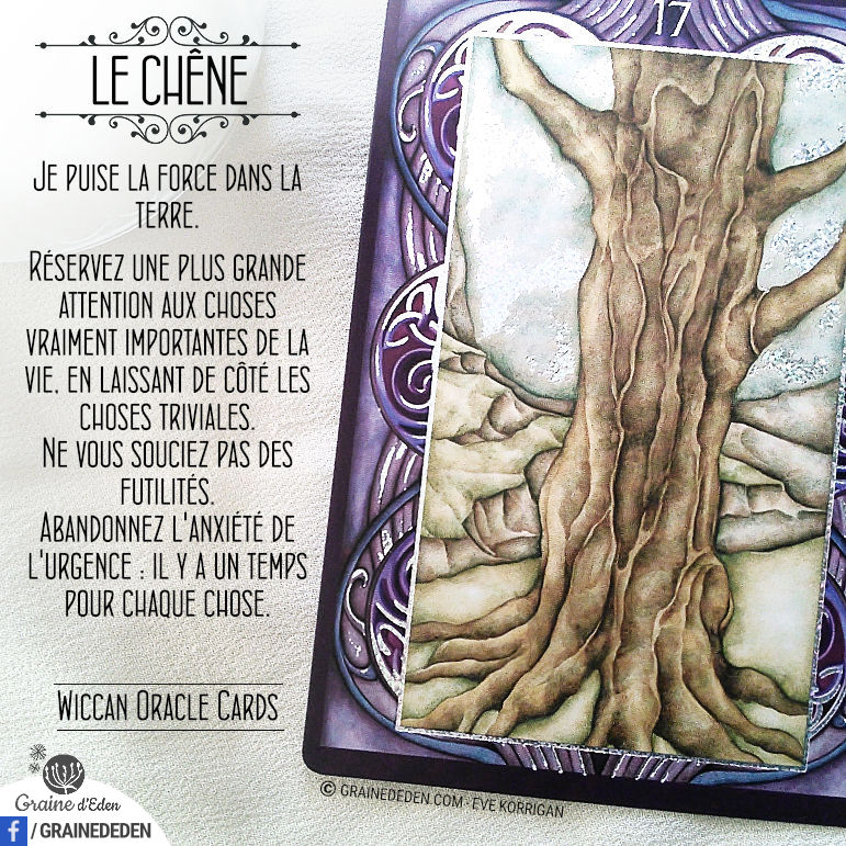 Wiccan Oracle Cards - Carte Le Chêne - Graine d'Eden Développement personnel, spiritualité, tarots et oracles divinatoires, Bibliothèques des Oracles, avis, présentation, review