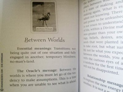 Wisdom of the Oracle de Colette Baron-Reid - Graine d'Eden Développement personnel, spiritualité, tarots et oracles divinatoires, Bibliothèques des Oracles, avis, présentation, review