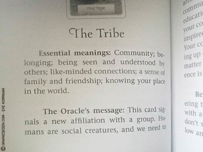 Wisdom of the Oracle de Colette Baron-Reid - Graine d'Eden Développement personnel, spiritualité, tarots et oracles divinatoires, Bibliothèques des Oracles, avis, présentation, review