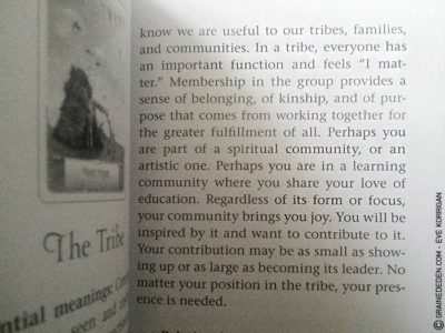 Wisdom of the Oracle de Colette Baron-Reid - Graine d'Eden Développement personnel, spiritualité, tarots et oracles divinatoires, Bibliothèques des Oracles, avis, présentation, review