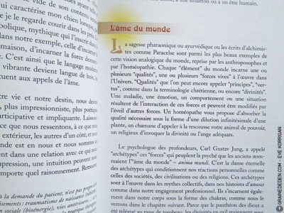 Le Tarot de l'Energie de Jean-Louis Abrassart - Graine d'Eden Développement personnel, spiritualité, tarots et oracles divinatoires, Bibliothèques des Tarots, avis, présentation, review