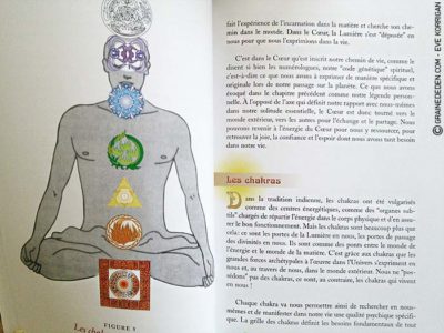 Le Tarot de l'Energie de Jean-Louis Abrassart - Graine d'Eden Développement personnel, spiritualité, tarots et oracles divinatoires, Bibliothèques des Tarots, avis, présentation, review