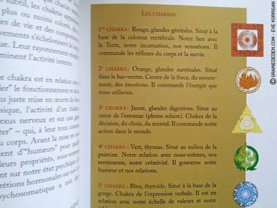 Le Tarot de l'Energie de Jean-Louis Abrassart - Graine d'Eden Développement personnel, spiritualité, tarots et oracles divinatoires, Bibliothèques des Tarots, avis, présentation, review