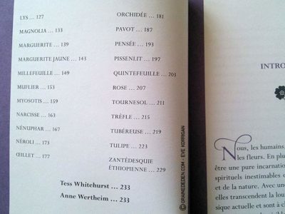 Oracle de la Magie des Fleurs de Tess Whitehurst et Anne Wertheim - Graine d'Eden Développement personnel, spiritualité, tarots et oracles divinatoires, Bibliothèques des Oracles, avis, présentation, review