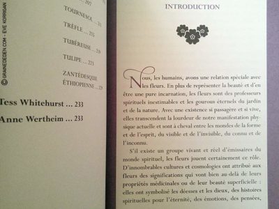 Oracle de la Magie des Fleurs de Tess Whitehurst et Anne Wertheim - Graine d'Eden Développement personnel, spiritualité, tarots et oracles divinatoires, Bibliothèques des Oracles, avis, présentation, review