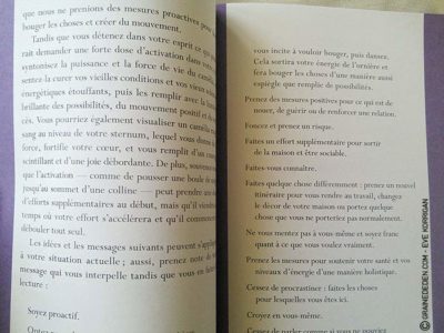 Oracle de la Magie des Fleurs de Tess Whitehurst et Anne Wertheim - Graine d'Eden Développement personnel, spiritualité, tarots et oracles divinatoires, Bibliothèques des Oracles, avis, présentation, review